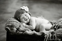 March 2012 Photo Contest 2nd Place Prize Winner