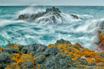 March 2012 Photo Contest 2nd Place Prize Winner