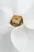 March 2012 Photo Contest 2nd Place Prize Winner