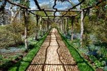 April 2012 Photo Contest 2nd Place Prize Winner