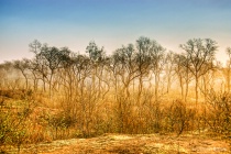 September 2015 Photo Contest 2nd Place Prize Winner