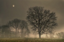 May 2012 Photo Contest 2nd Place Prize Winner