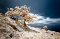 May 2012 Photo Contest 2nd Place Prize Winner