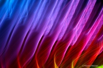 September 2012 Photo Contest 2nd Place Prize Winner