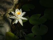 September 2014 Photo Contest 2nd Place Prize Winner
