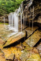 September 2012 Photo Contest 2nd Place Prize Winner