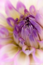 September 2012 Photo Contest 2nd Place Prize Winner
