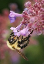 September 2012 Photo Contest 2nd Place Prize Winner