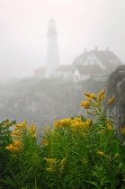 September 2012 Photo Contest 2nd Place Prize Winner