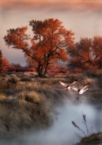 September 2012 Photo Contest 2nd Place Prize Winner