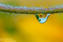 September 2012 Photo Contest 2nd Place Prize Winner