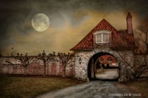 October 2012 Photo Contest 2nd Place Prize Winner