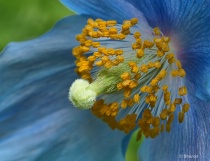 September 2012 Photo Contest 2nd Place Prize Winner