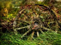 October 2012 Photo Contest 2nd Place Prize Winner