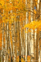 October 2012 Photo Contest 2nd Place Prize Winner