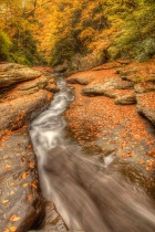 October 2012 Photo Contest 2nd Place Prize Winner