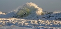 December 2012 Photo Contest 2nd Place Prize Winner