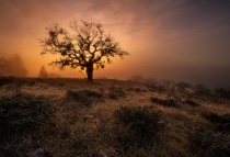 December 2012 Photo Contest 2nd Place Prize Winner