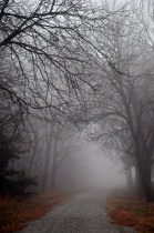 December 2012 Photo Contest 2nd Place Prize Winner