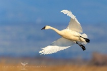 January 2013 Photo Contest 2nd Place Prize Winner