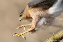 January 2013 Photo Contest 2nd Place Prize Winner