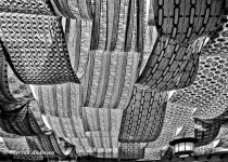 January 2013 Photo Contest 2nd Place Prize Winner