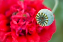 January 2013 Photo Contest 2nd Place Prize Winner