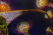 January 2013 Photo Contest 2nd Place Prize Winner