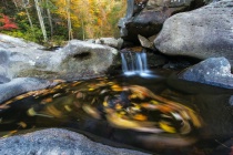January 2013 Photo Contest 2nd Place Prize Winner