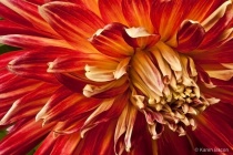 January 2013 Photo Contest 2nd Place Prize Winner