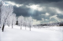 February 2013 Photo Contest 2nd Place Prize Winner