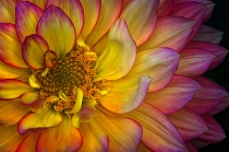February 2013 Photo Contest 2nd Place Prize Winner