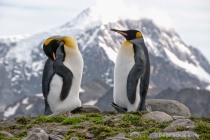 March 2016 Photo Contest 2nd Place Prize Winner