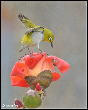 Photo Contest 1st Place Prize Winner