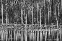 April 2013 Photo Contest 2nd Place Prize Winner