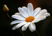 April 2013 Photo Contest 2nd Place Prize Winner
