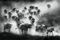 May 2013 Photo Contest 2nd Place Prize Winner