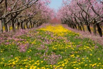 June 2013 Photo Contest 2nd Place Prize Winner
