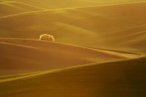July 2013 Photo Contest 2nd Place Prize Winner