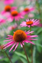 February 2016 Photo Contest 2nd Place Prize Winner