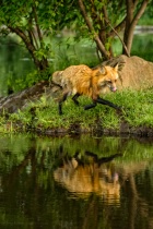 August 2013 Photo Contest 2nd Place Prize Winner