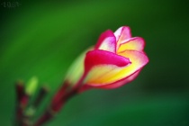 September 2013 Photo Contest 2nd Place Prize Winner