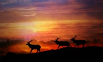 August 2013 Photo Contest 2nd Place Prize Winner