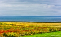 September 2013 Photo Contest 2nd Place Prize Winner