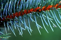 September 2013 Photo Contest 2nd Place Prize Winner