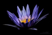 September 2013 Photo Contest 2nd Place Prize Winner