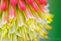 September 2013 Photo Contest 2nd Place Prize Winner