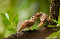 September 2013 Photo Contest 2nd Place Prize Winner