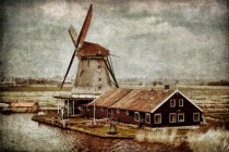 November 2015 Photo Contest 2nd Place Prize Winner