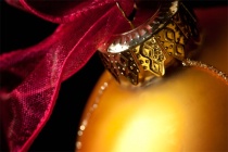 November 2015 Photo Contest 2nd Place Prize Winner